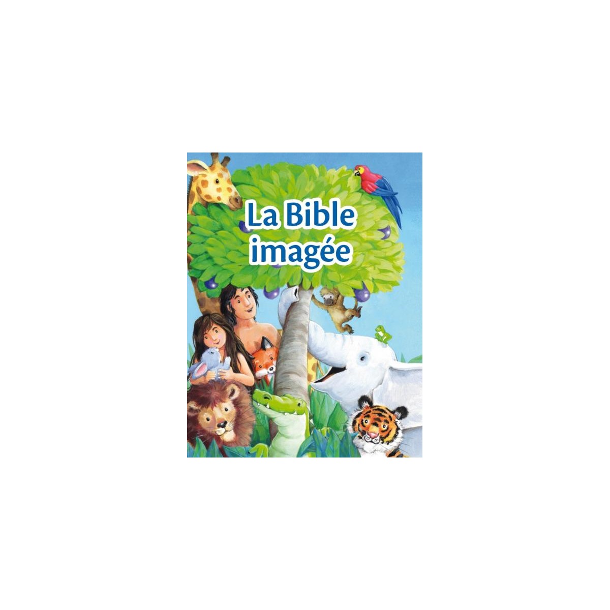 La Bible Imagée La Bible Imagée
