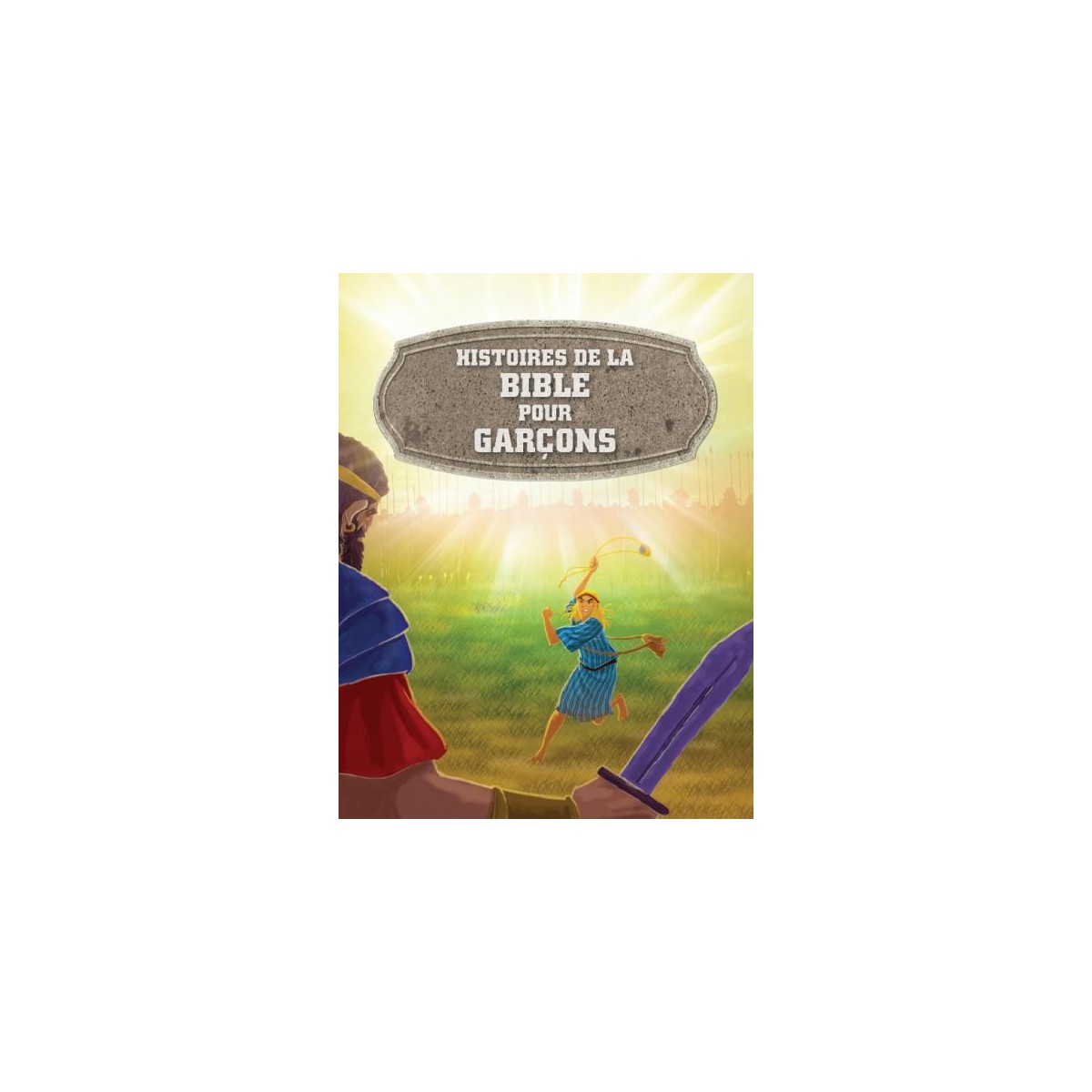 histoires de la Bible pour garçons histoires de la Bible pour garçons