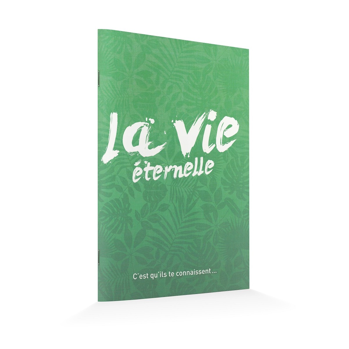 Brochure d'Evangélisation : La vie Eternelle (format 14x21)