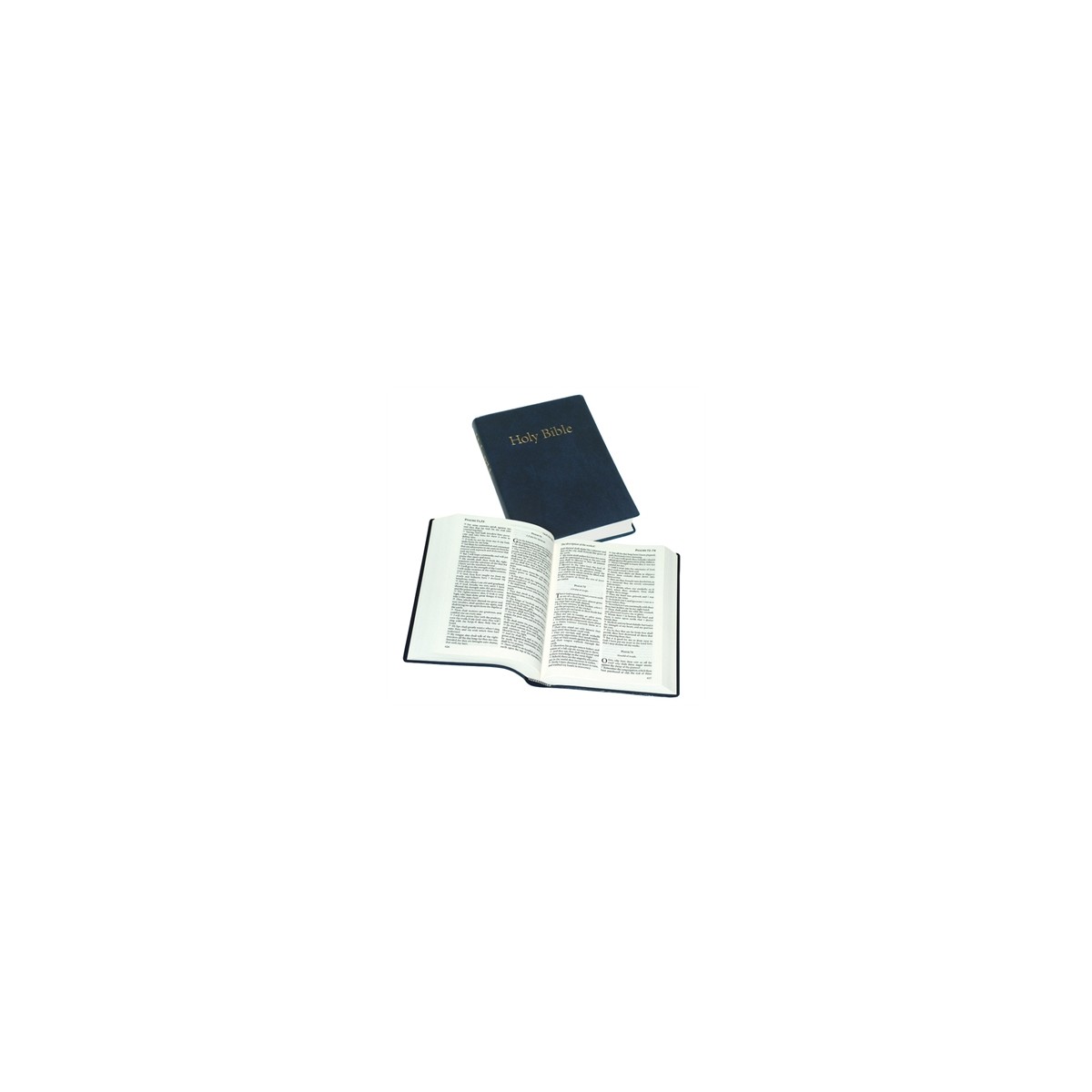 Bible en Anglais, moyen modèle souple bleue, version King James