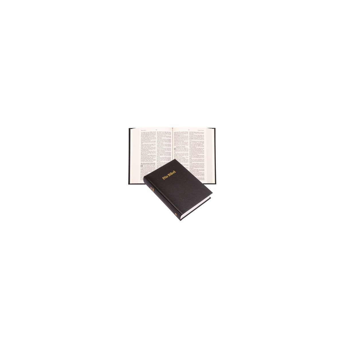 Bible rigide noire en Allemand Bible rigide noire en Allemand