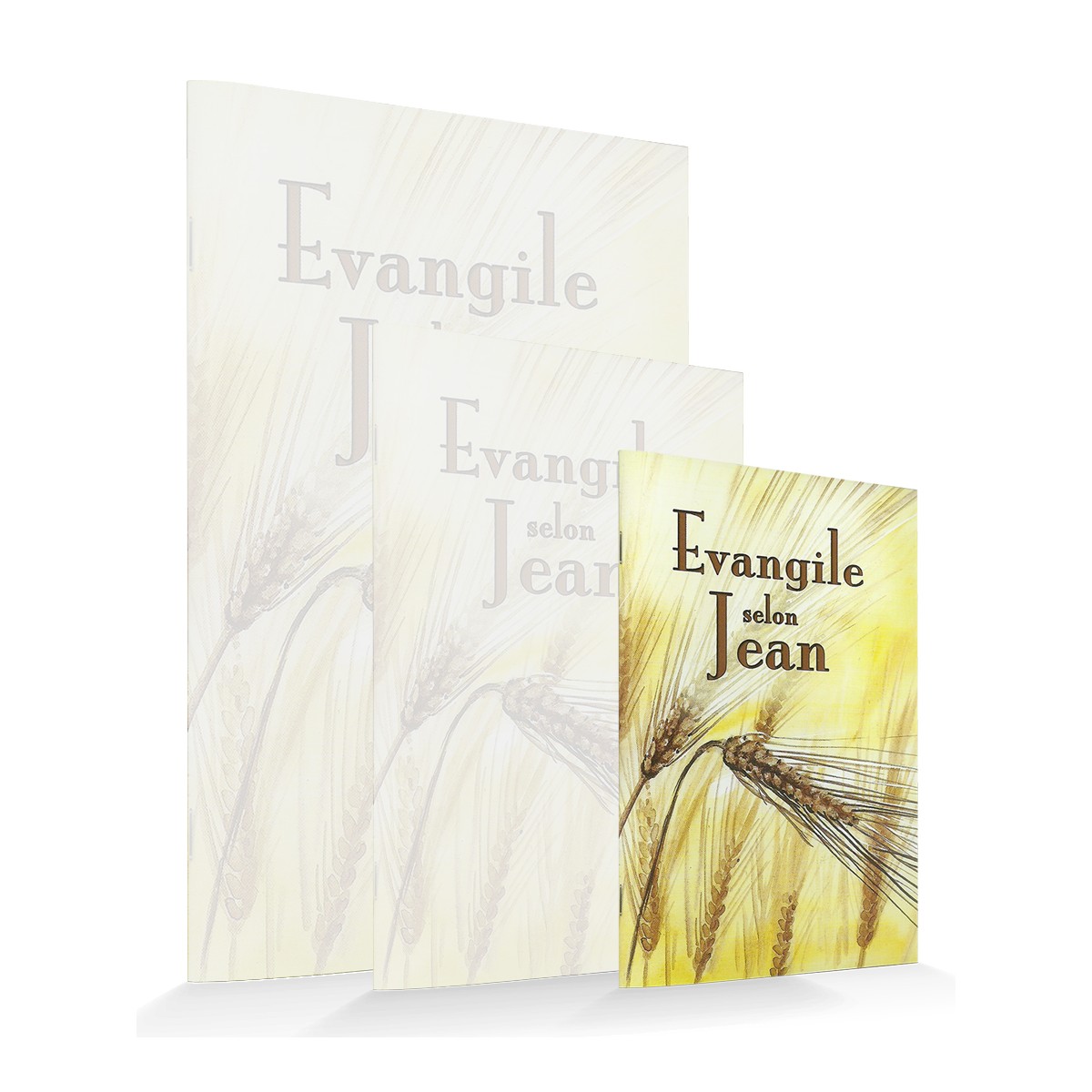 Evangile selon Jean - format 8x12cm Evangile selon Jean - format 8x12cm