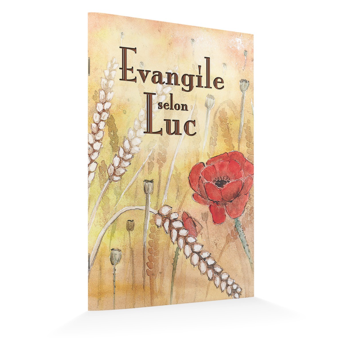 Evangile Selon Luc Coquelicot (format 10x15)